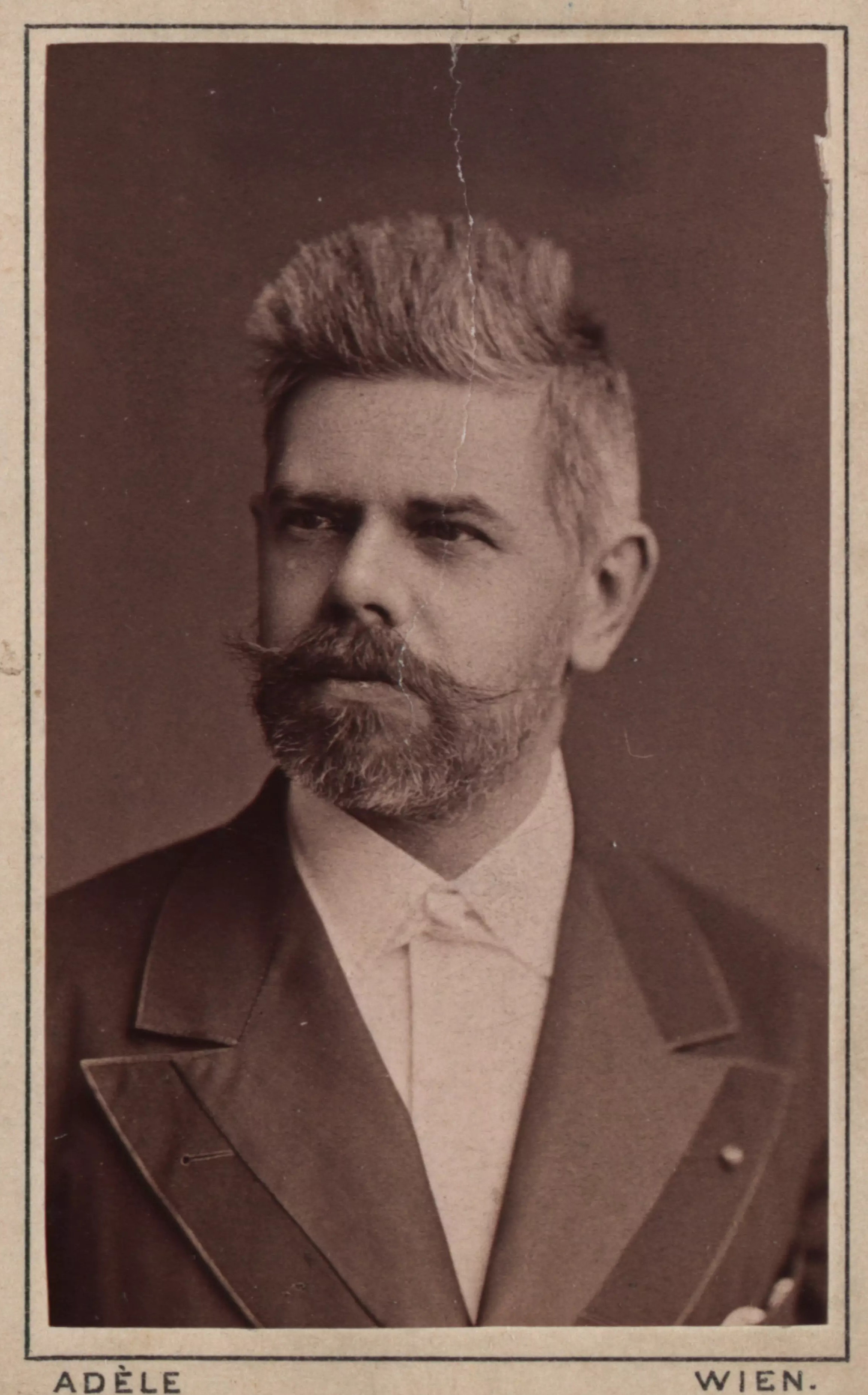 Ludwig Bösendorfer 1877, portrait