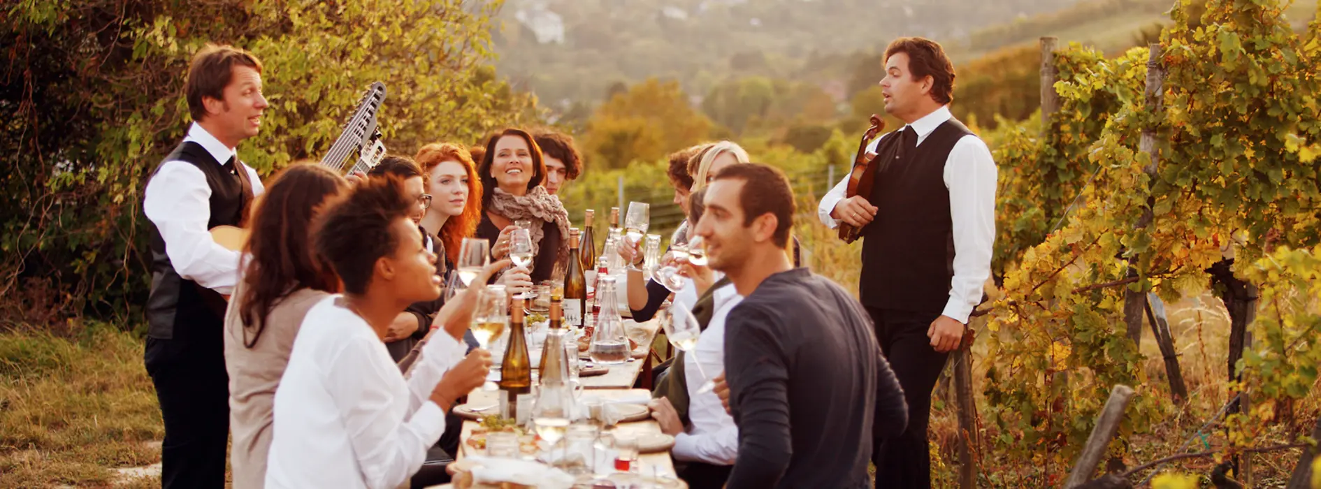 Vienna: vineyard, Wieninger am Nussberg 