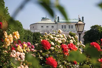 Roses in the Volksgarten with the Burgtheater in the background