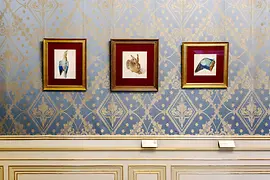 Albertina, Albrecht Dürer, Young Hare