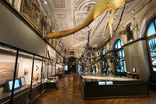 Přírodovědecké muzeum ve Vídni, Sál dinosaurů