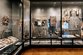 Weltmuseum Wien (World Museum Vienna) exhibition view