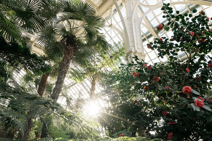 Palm House Vienna