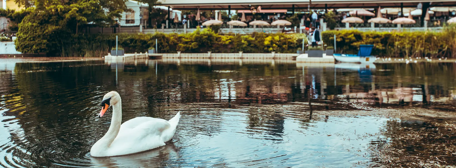 Restaurant Zur Alten Kaisermühle