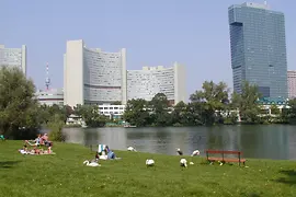 Swans at the Kaiserwasser