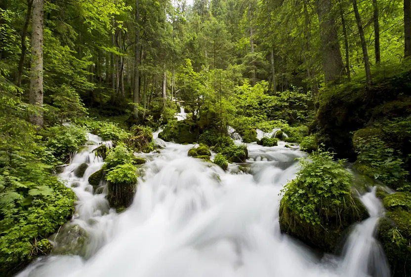 Water source in the high Alps