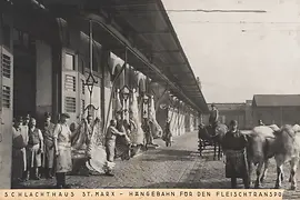 Photograph of the St. Marx slaughterhouse with meat products, around 1926
